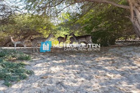 756.2m² Land in Ghantoot, UAE No. 120275 4