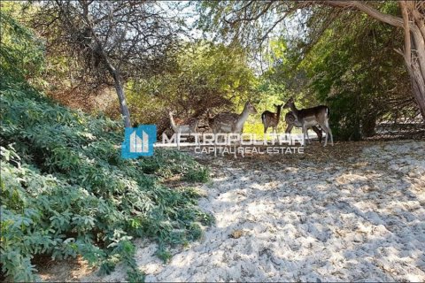 756.2m² Land in Ghantoot, UAE No. 120275 8