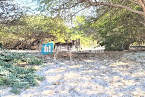 756.2m² Land in Ghantoot, UAE No. 120275 9