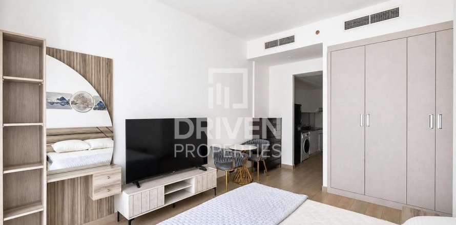 Studio Apartment in District 10, UAE No. 212108