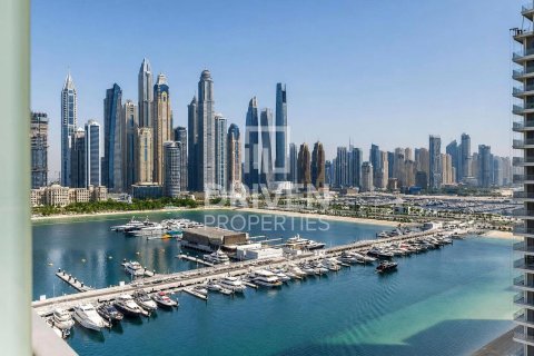 Appartement de 1 chambre à EMAAR Beachfront, UAE No. 218208 13