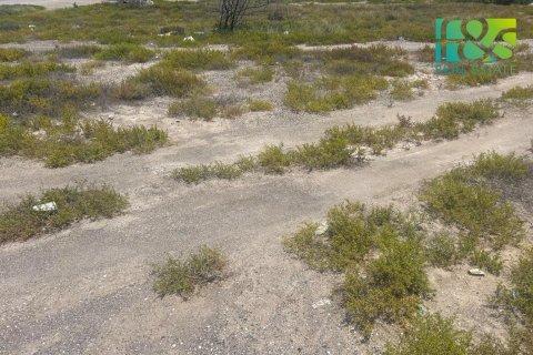650.4m² Land in Ras Al Khaimah, UAE No. 43502 4