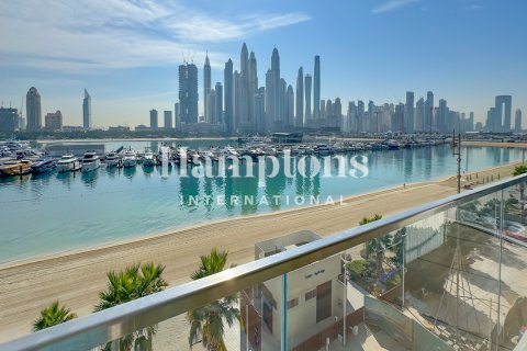 Apartment de 3 dormitorios en Dubai Harbour, UAE No. 151316 16