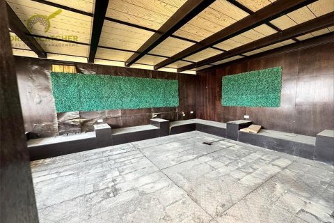 Villa de 4 chambres à Shamal Julphar, UAE No. 75307 20