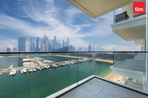 2 bedrooms Apartment in Dubai Harbour, UAE No. 216436
