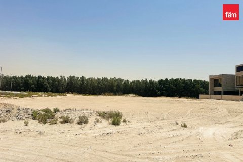 464.8m² Land in Dubai, UAE No. 80577 7