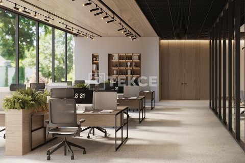 81مربع، محل تجاري في Majan, الإمارات العربية المتحدة رقم 135330 11