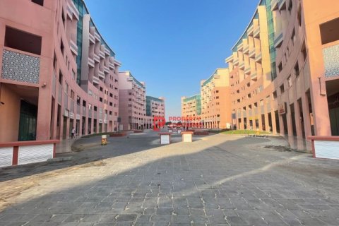Appartement de Studio à Discovery Gardens, UAE No. 39692 11