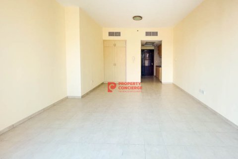 Appartement de Studio à Discovery Gardens, UAE No. 39690 8