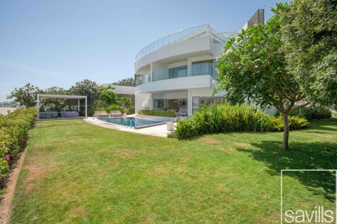 6 غرفة نوم  فيلا في Signature Villas, الإمارات العربية المتحدة رقم 222609 11