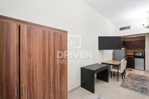 استوديو شقة في District 10, الإمارات العربية المتحدة رقم 211368 8
