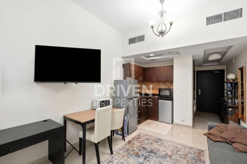 استوديو شقة في District 10, الإمارات العربية المتحدة رقم 211368 3