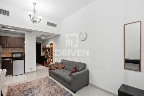 استوديو شقة في District 10, الإمارات العربية المتحدة رقم 211368 6