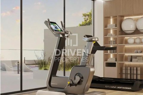 Studio Apartment in Al Warsan, UAE No. 211890 8
