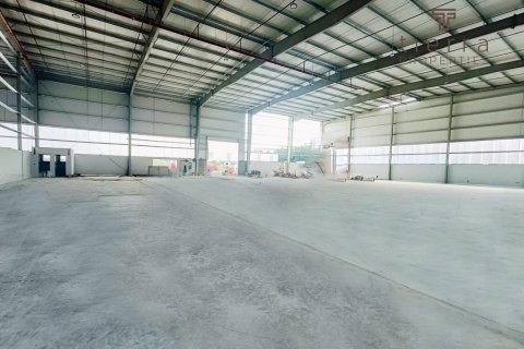 Warehouse de 6689m² à Phase 2, UAE No. 47630