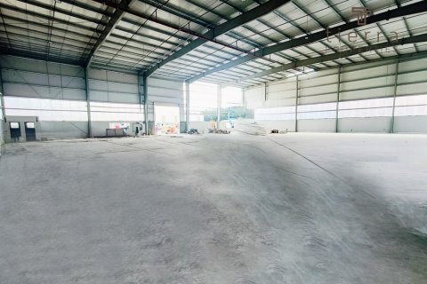 Warehouse de 6689m² à Phase 2, UAE No. 47630 4
