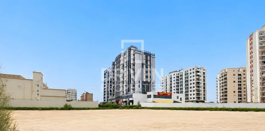 Land de 2250.02m² à Liwan, UAE No. 217578
