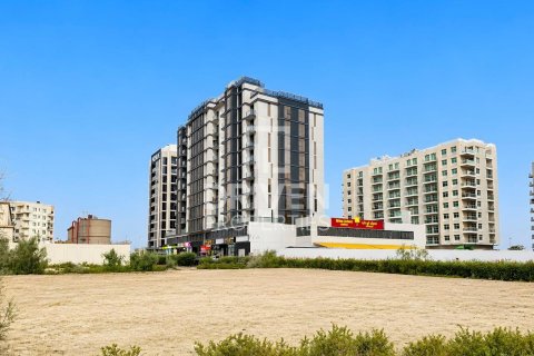 Land de 2250.02m² à Liwan, UAE No. 217578 3