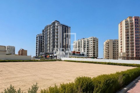 Land de 2250.02m² à Liwan, UAE No. 217578 4
