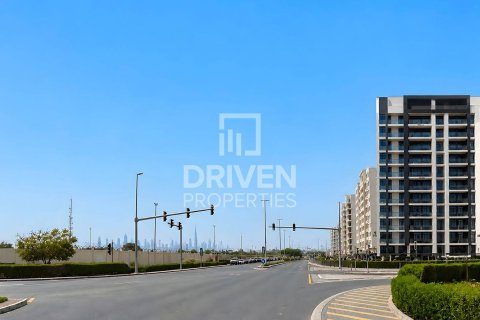 Land de 2250.02m² à Liwan, UAE No. 217578 8