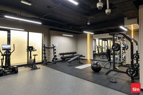 1 غرف نوم شقة في Wadi Al Safa 2, الإمارات العربية المتحدة رقم 169259 19