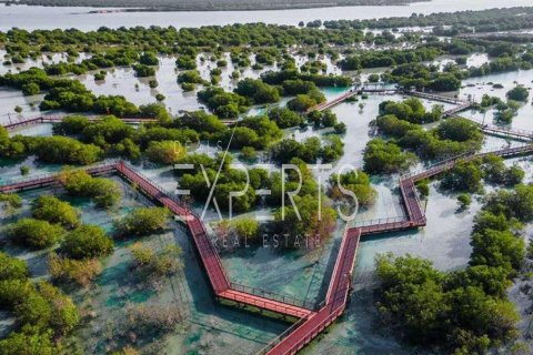 1024.53مربع، قطعة أرض في Al Hudayriat Island, الإمارات العربية المتحدة رقم 224025 13