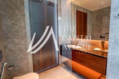 4 bedrooms Villa on the Saadiyat Island, UAE No. 213091 17