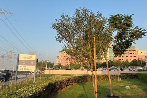 Edificio de 7 dormitorios en Dubai, UAE No. 215314 25