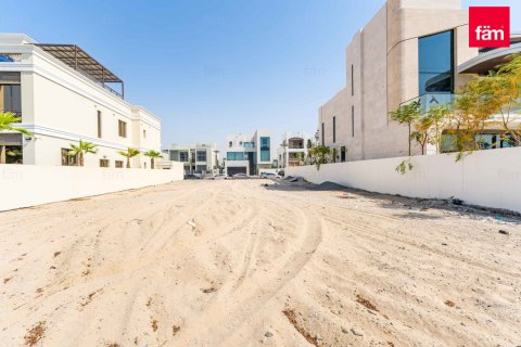 753.1m² Land in Jumeirah Park, UAE No. 205828 5