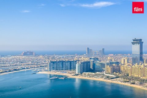1 bedroom Apartment in Dubai Harbour, UAE No. 216000 13