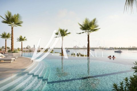 Apartment de 2 dormitorios en Al Hudayriat Island, UAE No. 223524 10