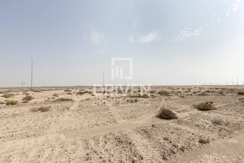 1040.05m² Land in Jebel Ali, UAE No. 212141 3