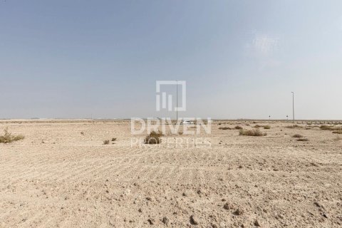 1040.05m² Land in Jebel Ali, UAE No. 212141 11