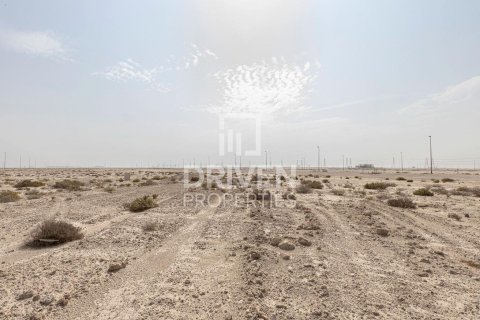 1040.05m² Land in Jebel Ali, UAE No. 212141 7