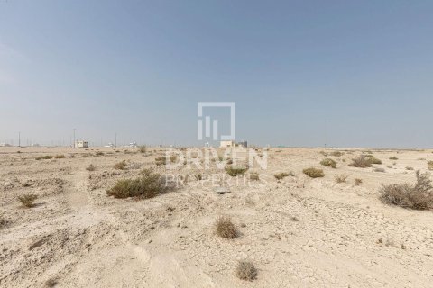 1040.05m² Land in Jebel Ali, UAE No. 212141 4