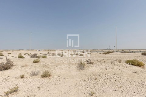 1040.05m² Land in Jebel Ali, UAE No. 212141 10