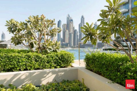 1 bedroom Apartment in Dubai Harbour, UAE No. 216384 6