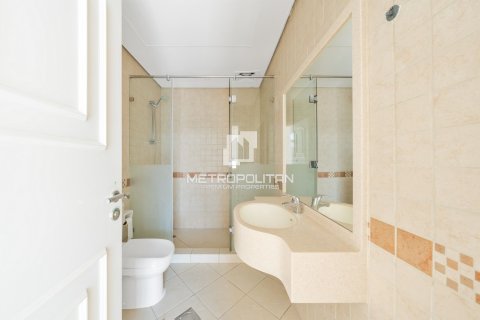 5 bedrooms Villa in Falcon City of Wonders, UAE No. 129570 24