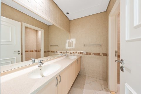 5 bedrooms Villa in Falcon City of Wonders, UAE No. 129570 14