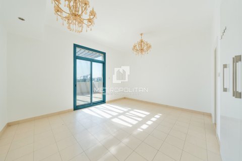 5 bedrooms Villa in Falcon City of Wonders, UAE No. 129570 21