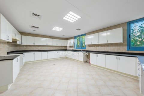 5 bedrooms Villa in Falcon City of Wonders, UAE No. 129570 15