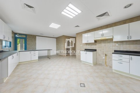 5 bedrooms Villa in Falcon City of Wonders, UAE No. 129570 16