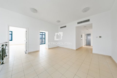 5 bedrooms Villa in Falcon City of Wonders, UAE No. 129570 17