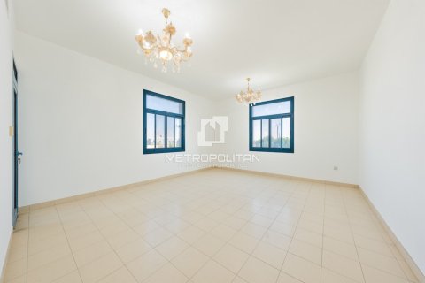 5 bedrooms Villa in Falcon City of Wonders, UAE No. 129570 25