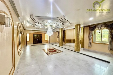 Вилла с 10 спальнями в Seih Al Uraibi, ОАЭ №22393 14