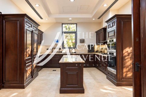 5 bedrooms Villa on the Saadiyat Island, UAE No. 226627 5