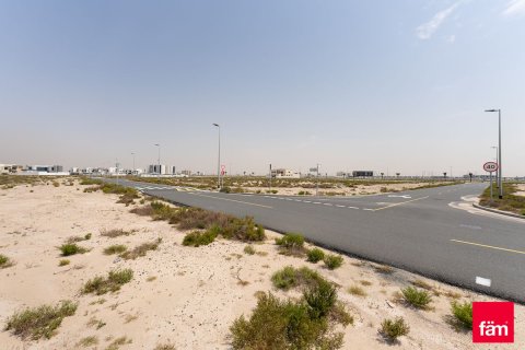915m² Land in Jebel Ali, UAE No. 150856 14