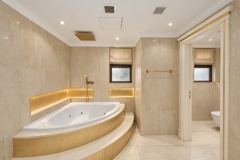 4 غرف نوم فيلا في Jumeirah Islands, الإمارات العربية المتحدة رقم 226462 23