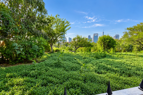 4 غرف نوم فيلا في Cluster 46, الإمارات العربية المتحدة رقم 226450 4