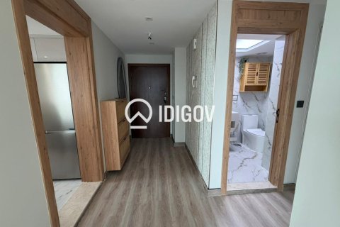 1 bedroom Apartment in Park Island, UAE No. 184597 8
